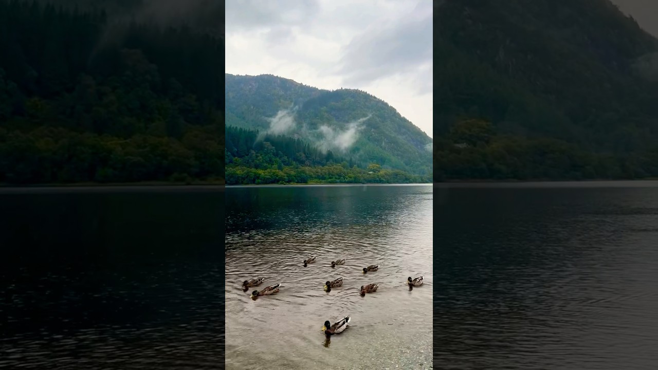Peaceful Loch Lubnaig Views | Ducks and Serene Clouds in Scotland | RoadTrip | Highlands | Autumn