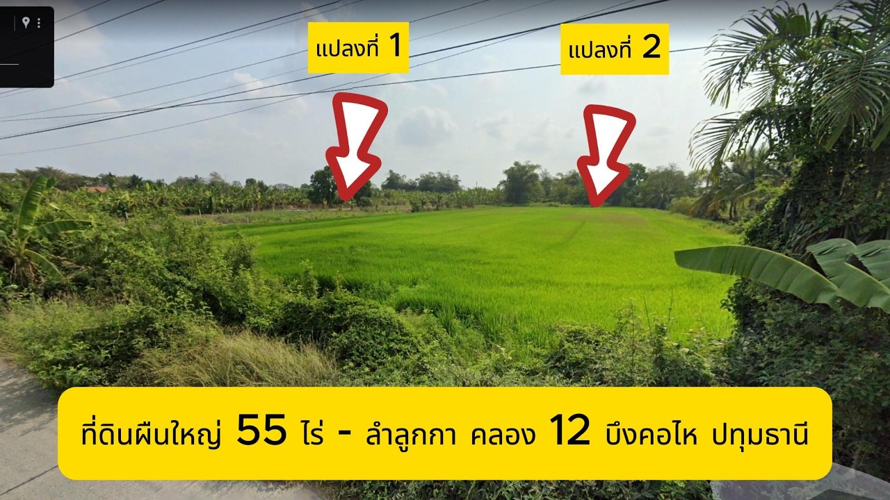 ขายที่ดิน 55 ไร่ บึงคอไห ลำลูกกา คลอง 12 ปทุมธานี โฉนดครบ เข้าออกได้ 2 ทาง เหมาะสําหรับลงทุนระยะยาว