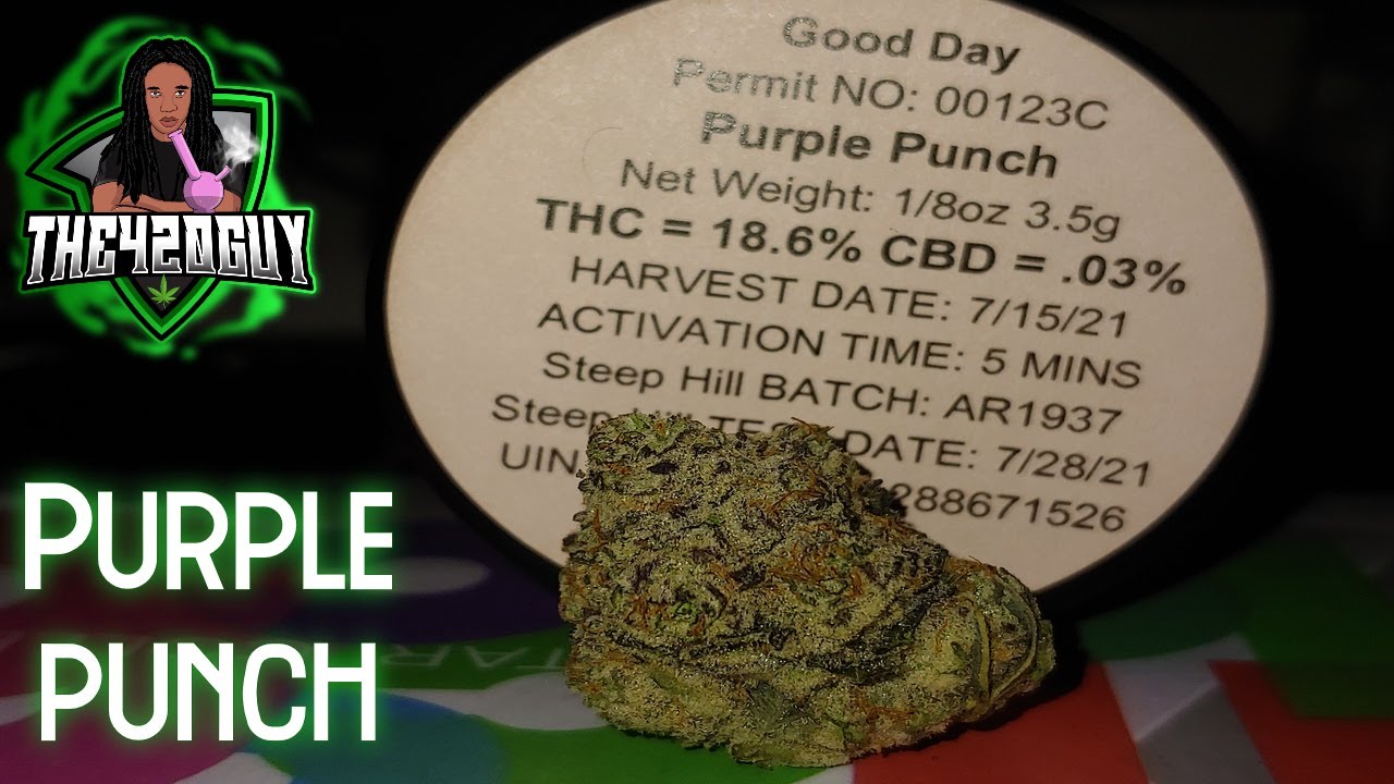 Purple Punch - Good Day - Arkansas Medical Marijuana Review