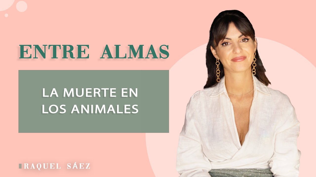 ✨ La muerte en los animales ✨