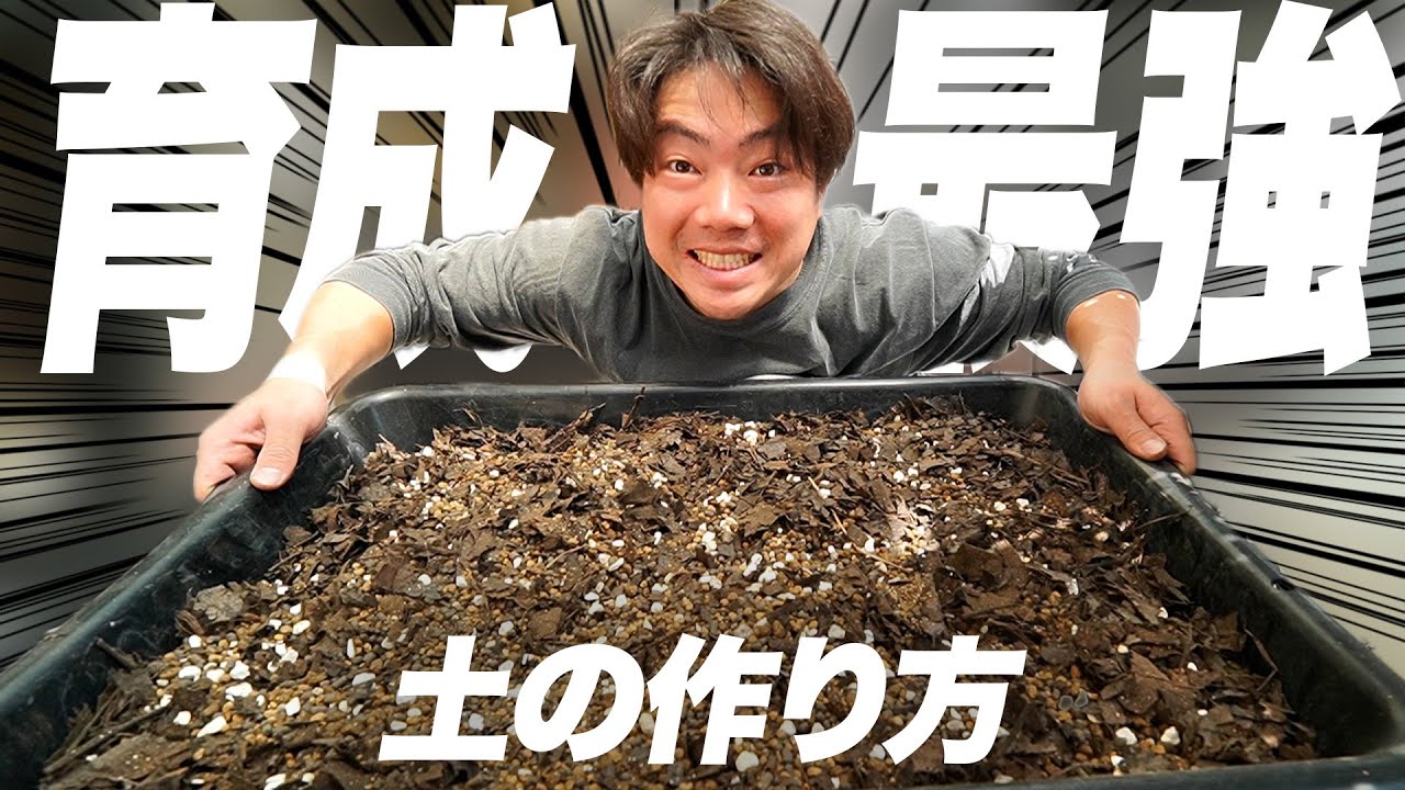 【土づくり】植物がよく育つ土の作り方と計算方法を教えます[観葉植物][多肉植物][アガベ][塊根植物][洗脳土]