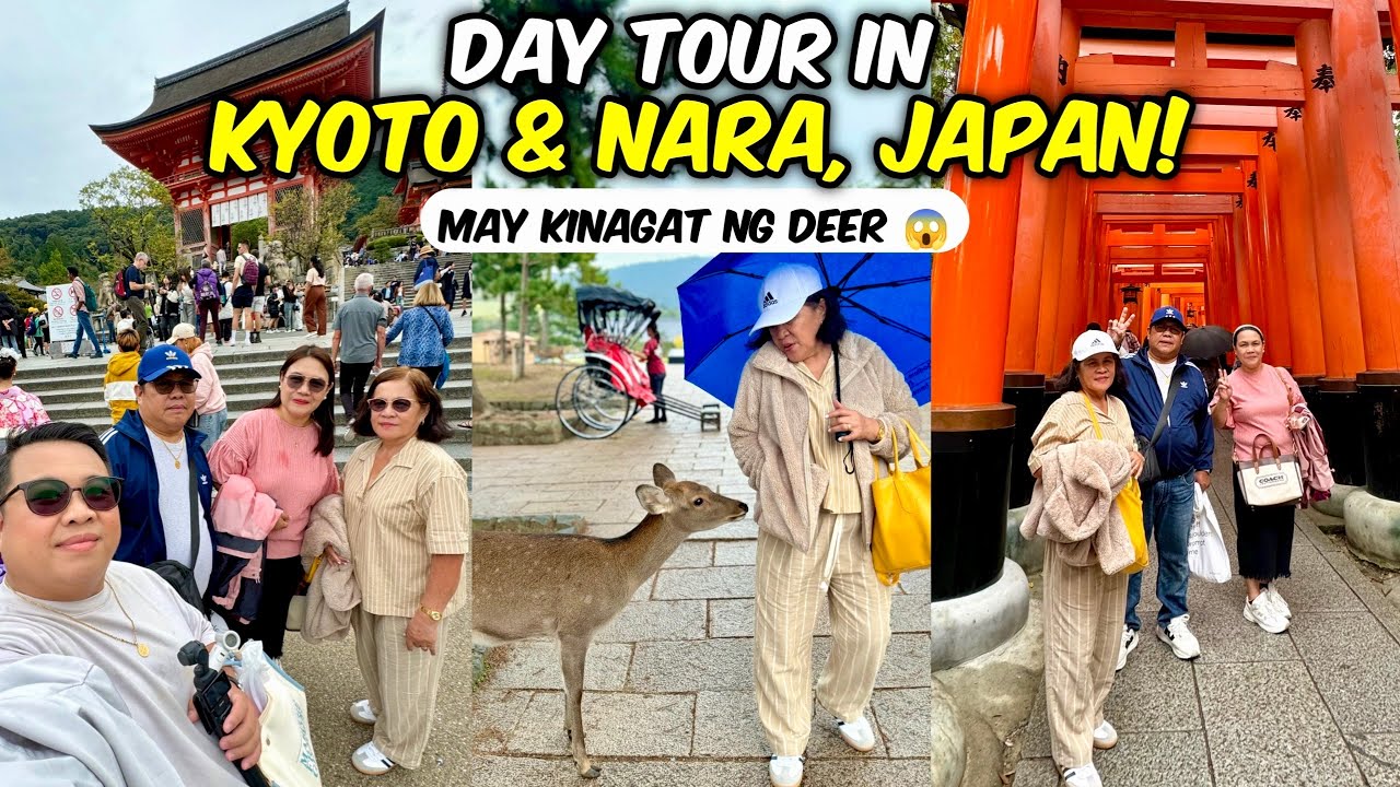 Kyoto-Nara Tour! Exploring Fushimi Inari, Kiyomizu Dera, & Nara Park!🇯🇵  | JM Banquicio