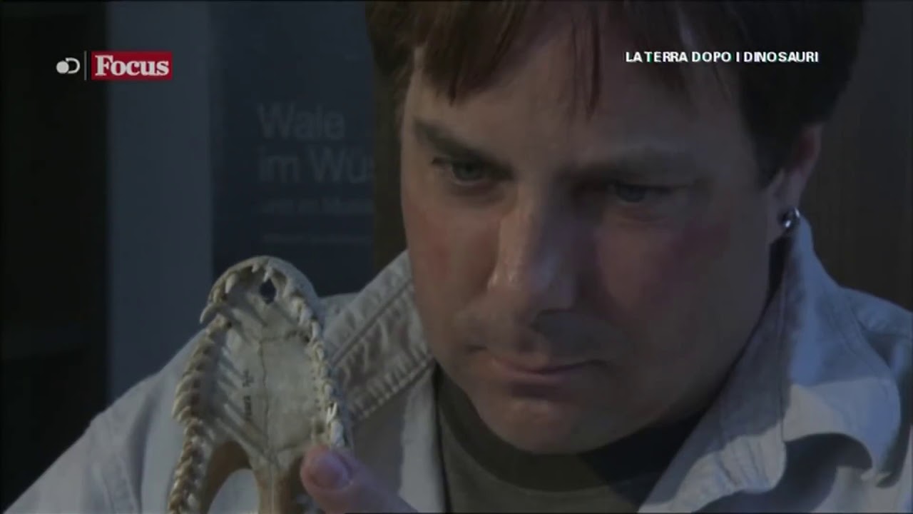 Mammiferi vs Dinosauri - La rivincita dei Mammiferi  Documentario HD