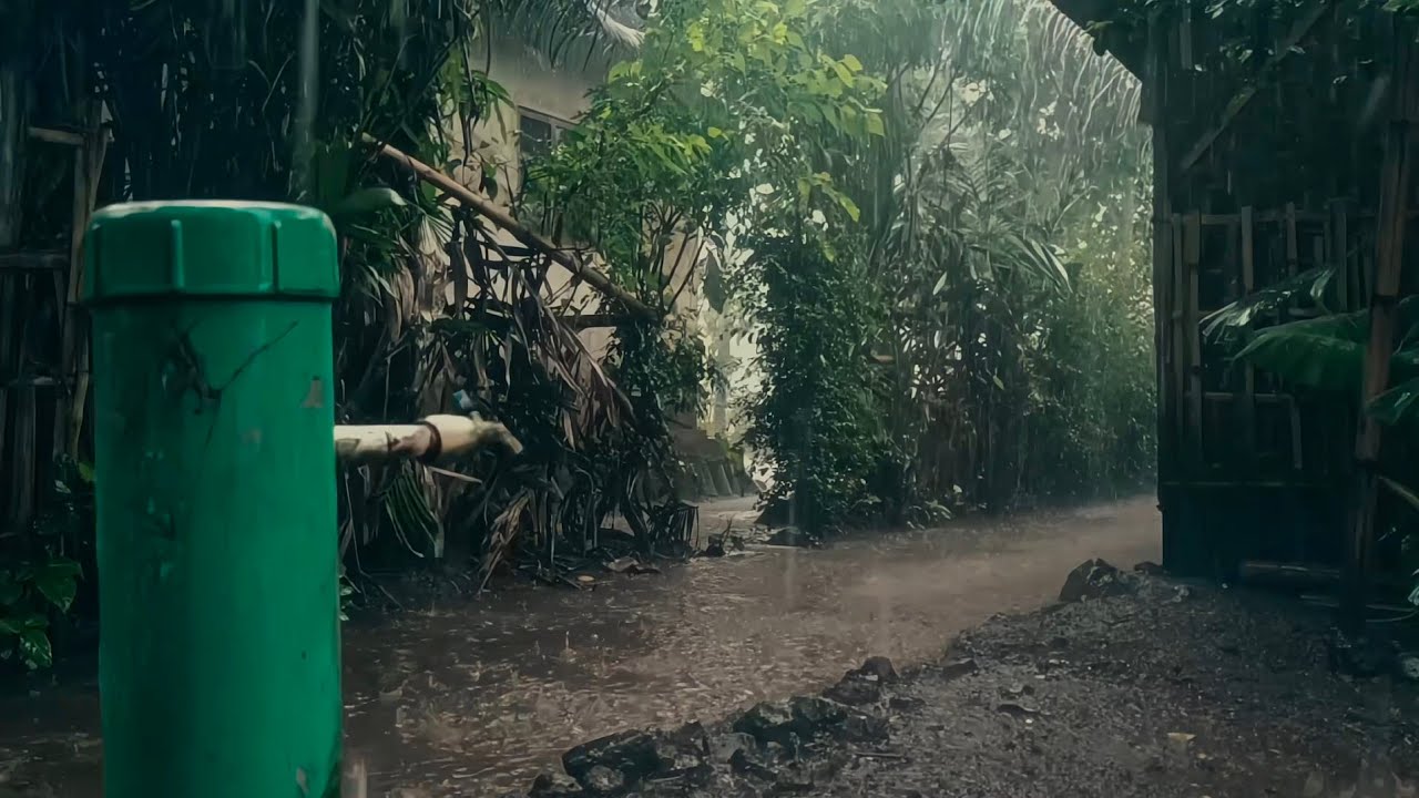 Rainfall Ambience – Relaxing Natural Sounds for Rest & Calm