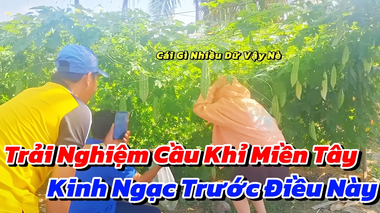Lần Đầu Tiên Chị Vân Ra Vườn Trải Nghiệm Đi Cầu Khỉ Thu Hoạch Hoa Màu Siêu Trái Của HMN