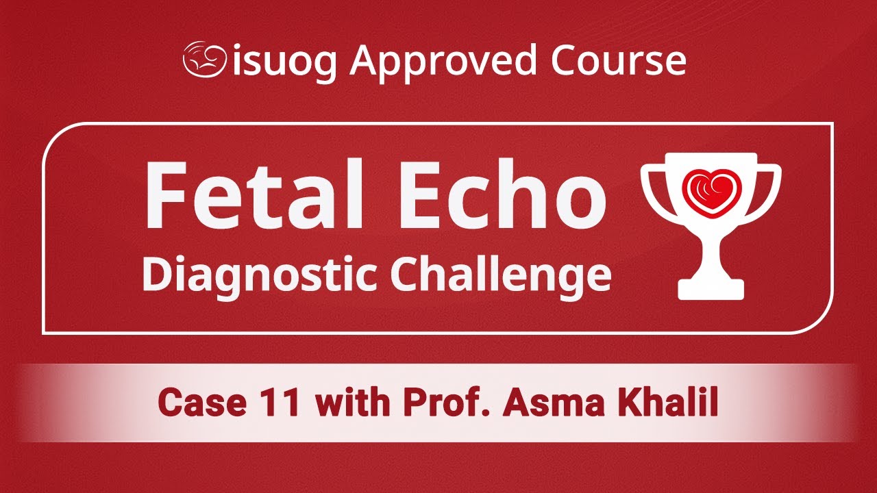 IFEDC | Case 11 with Prof. Asma Khalil
