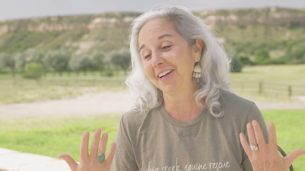 Women's Retreat with Horses at Dove Creek Ranch