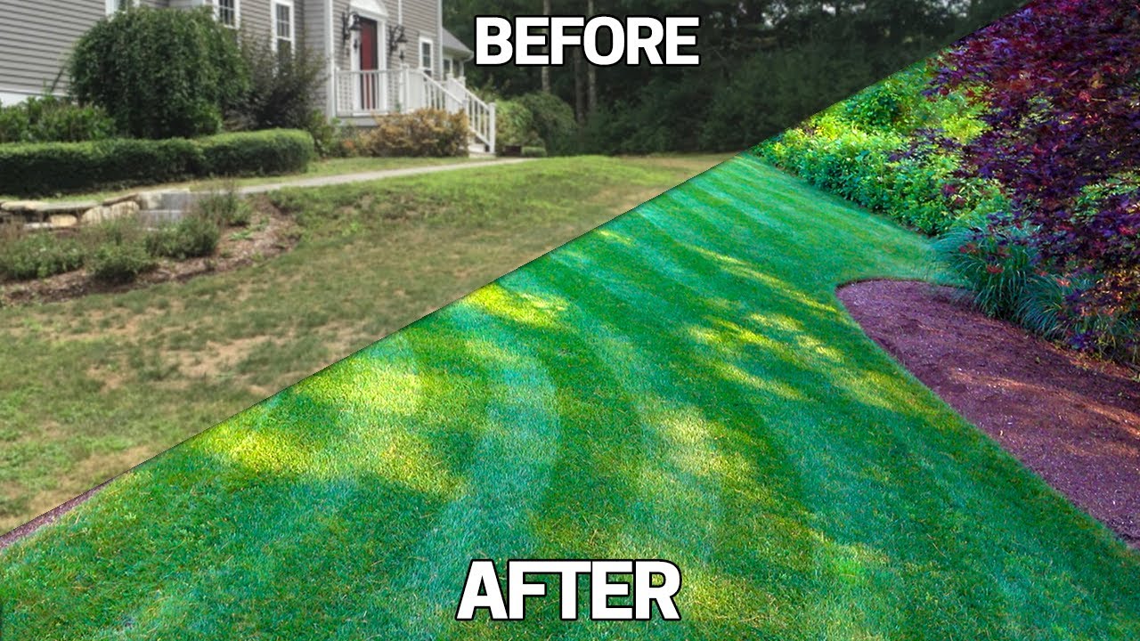 Fix an Ugly Lawn 5 TIPS -Easy Step by Step Guide For Beginners