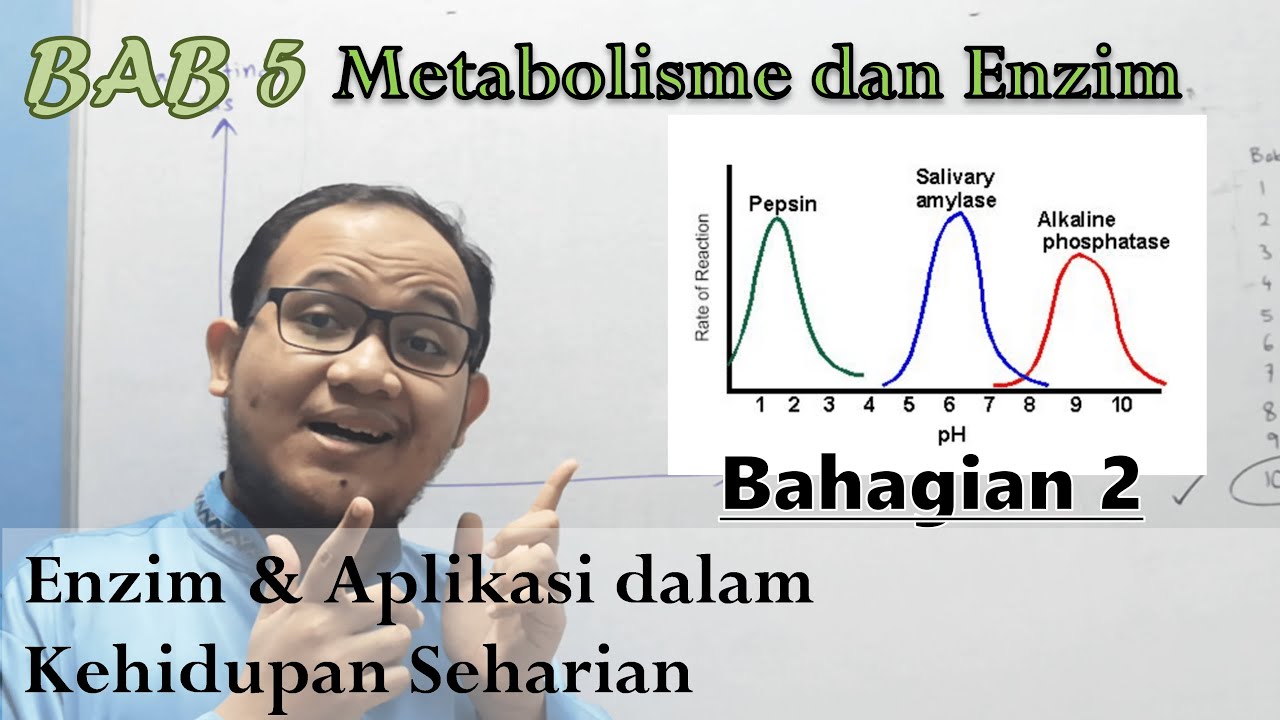 KSSM Bio Ting. 4 - Bab 5 - Metabolisme & Enzim (Part 2: Enzim & Aplikasi dalam Kehidupan Seharian)