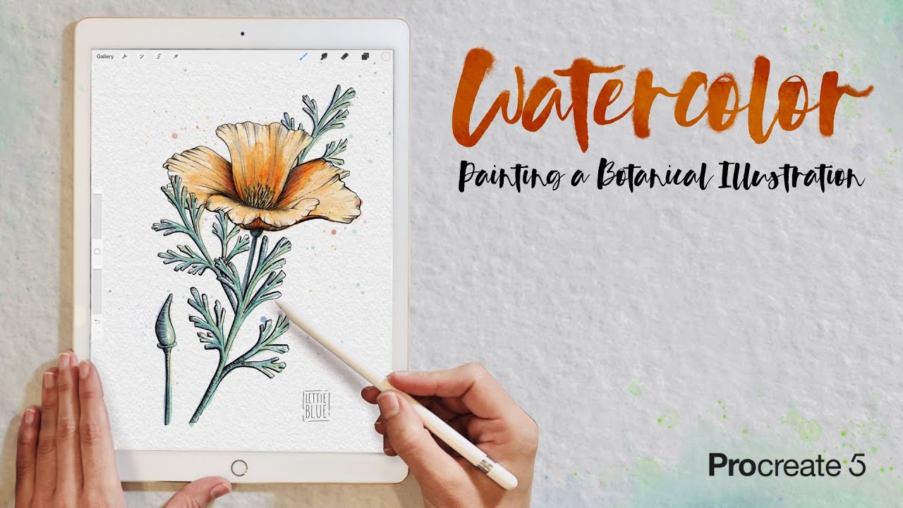Procreate Digital Ink & Watercolor Tutorial for Beginners: Botanical Flower Painting