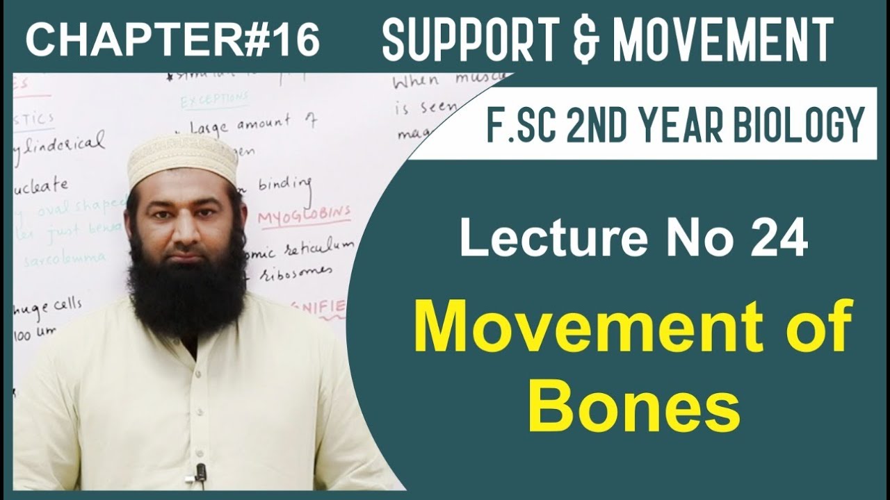 Biology Ch#16-Lecture#24 Movement of bones  (F.Sc 2nd Year)