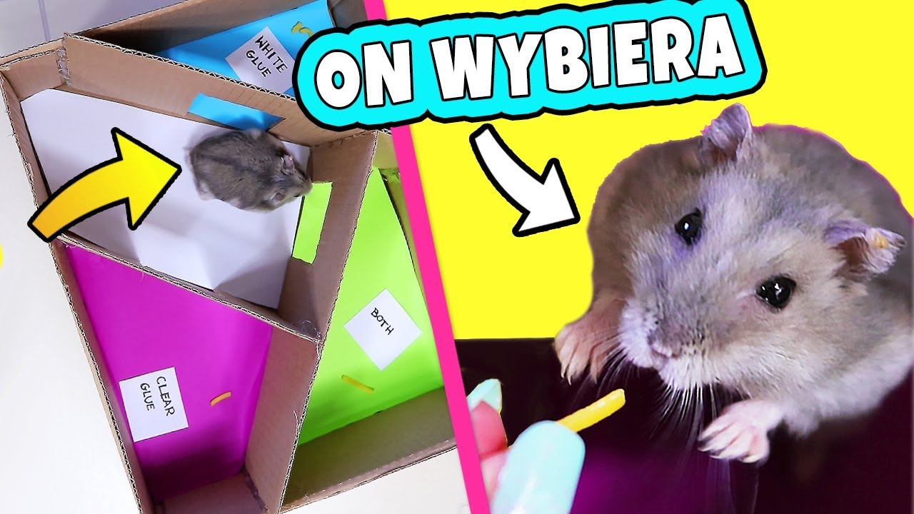 M&Oacute;J CHOMIK DECYDUJE O MOIM SLIME! Robię Slime Według Decyzji Mojego Chomika
