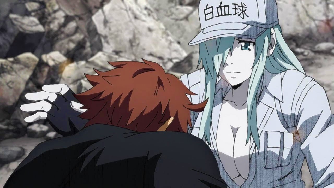 Hataraku Saibou Black- AMV - The Story