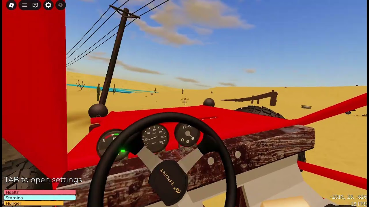 playing this car game until i crash with my cousn.