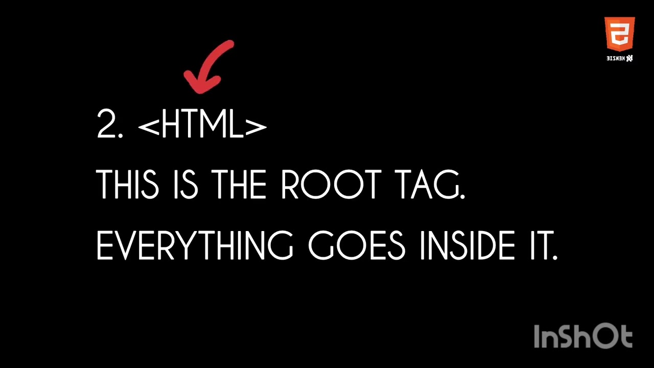 HTML for Beginners Day 2 | HTML Structure & Tags Explained