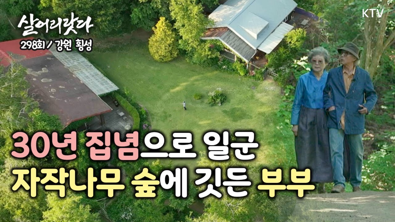 (강원 횡성/298회) 30년 집념으로 일군 자작나무 숲에 깃든 부부 koreatv, garden, Betula, Art gallery