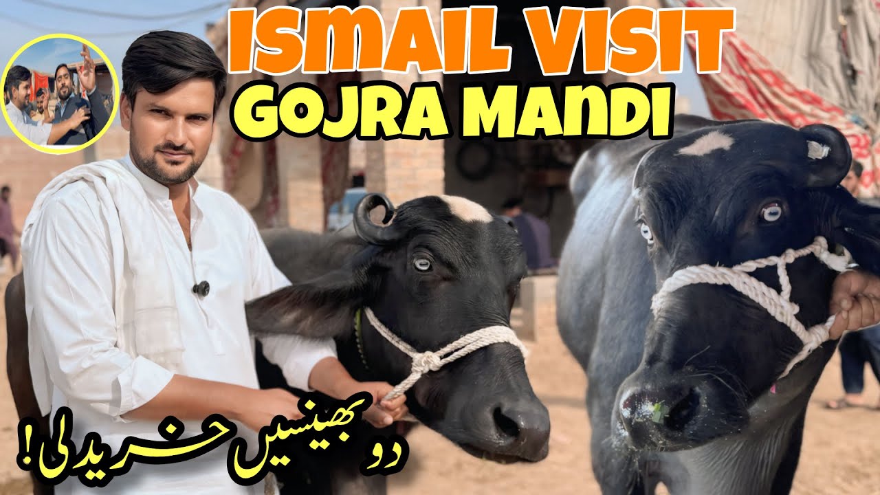 Ismail jutt Visit Gojra Mandi