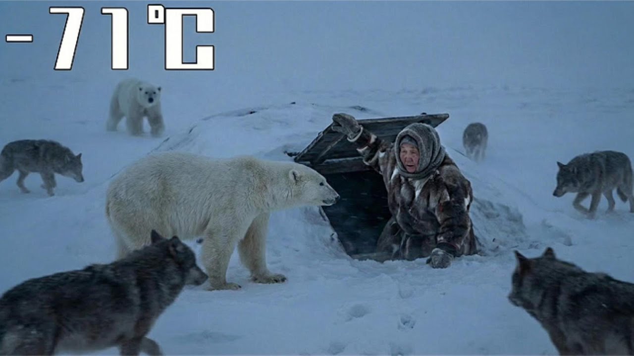 –71°C: A 60-Year-Old Yakut Woman Hides Beneath the Snow to Survive Wolves and a Polar Bear