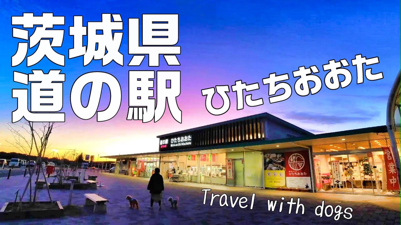 茨城の道の駅ひたちおおたでお買い物して犬のおさんぽがてら車中泊の下見をしました ｜道の駅｜常陸太田｜茨城県｜キャンピングカー｜INUVAN│バンライフ│NV200│