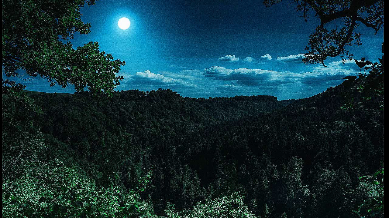 Nachts unter freiem Himmel (Naturgeräusche)