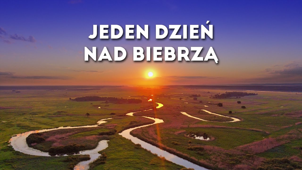 Biebrzański Park Narodowy (Biały Grąd): Jeden dzień nad BIEBRZĄ | [Mavic Mini]