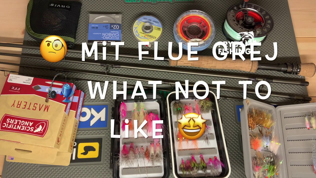 🧐 Mit Fluegrej til kysten 🎣 What not to like 🤩