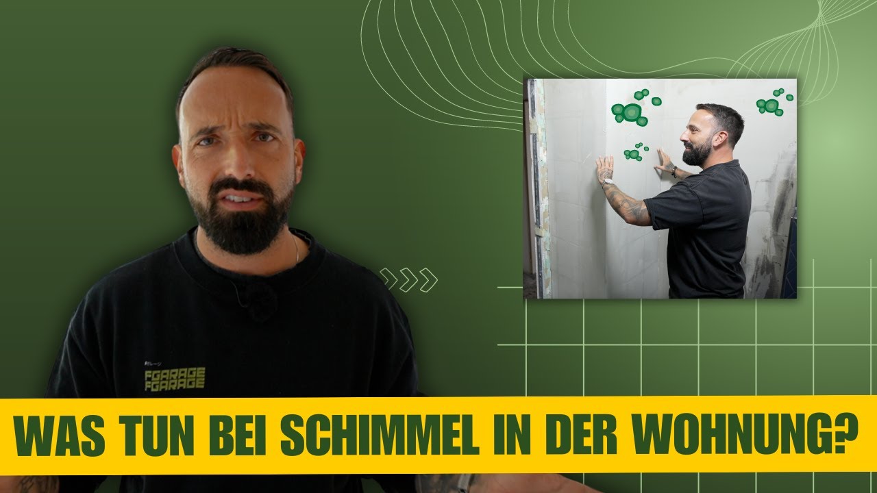 Schimmel in der Wohnung - erst Mietminderung, jetzt Leerstand in meiner Wohnung🤯
