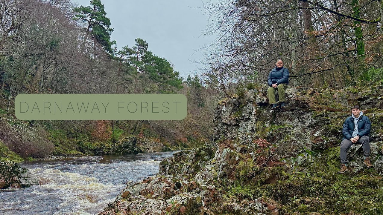 Rainy day in Darnaway forest 