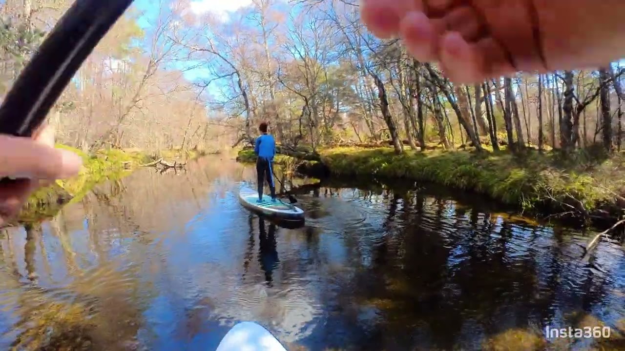 Loch Morlich Aviemore, Highlands Paddle Boarding