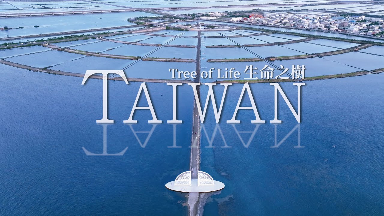《空拍集》TAIWAN 台南將軍-生命之樹（Tree of Life）- Aerial Drone Video【4K】