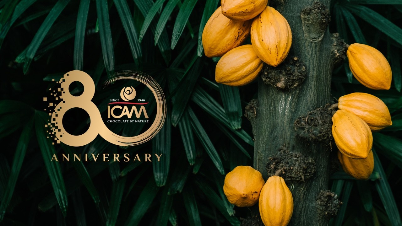 Icam 80 years
