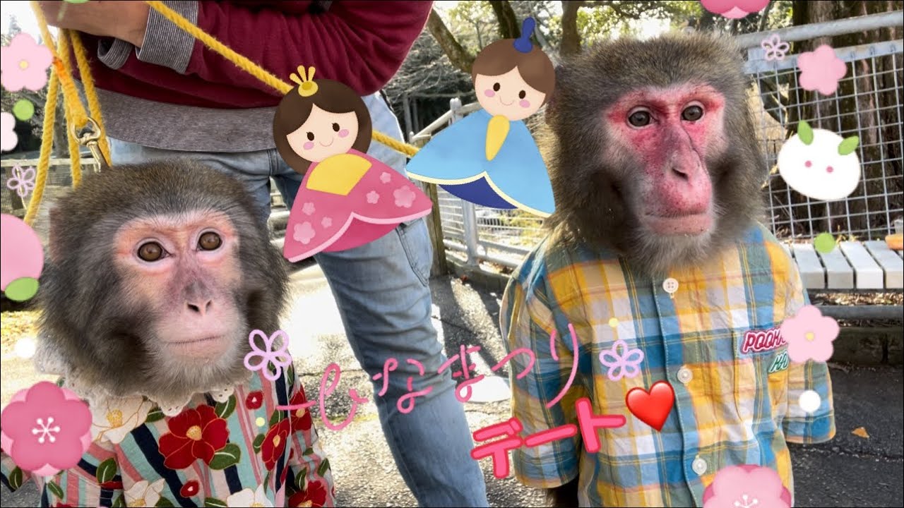 ひな祭りデートしてみる