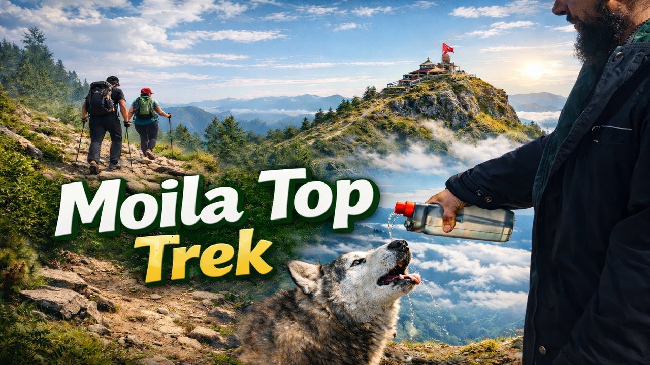 Moila Top Trek 🏔️ | Chadhai, View Aur Ek Dil Chhoo Lena Pal ❤️