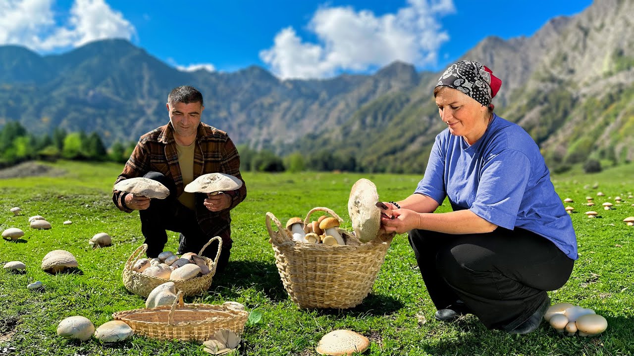 Champignons Sauvages et Pommes de Terre dans les Montagnes d’Azerbaïdjan 🍄 Recette Rustique