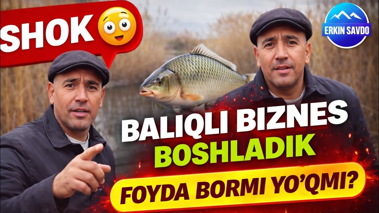 BALIQ BIZNESI ZOR DAROMAD