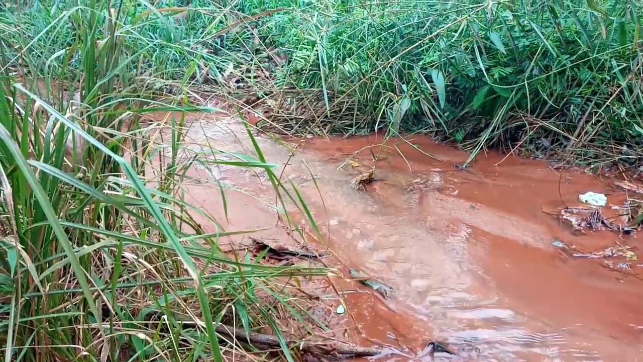 Tshipuku tsha Venda
