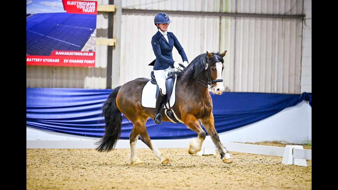 Solihull Area Festival Elementary Bronze 3rd Place 68.44% Veronica Bunnie
