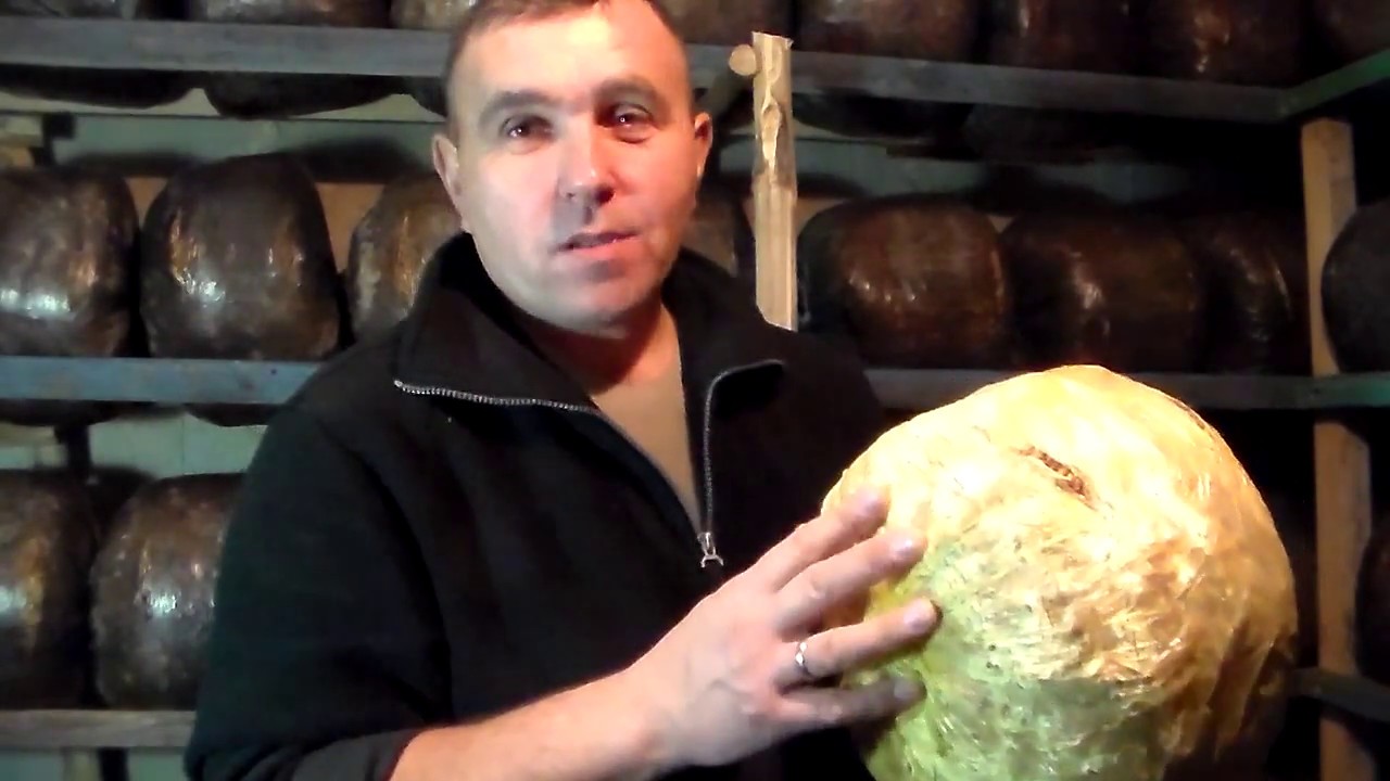 Ошибки инкубации субстрата.
