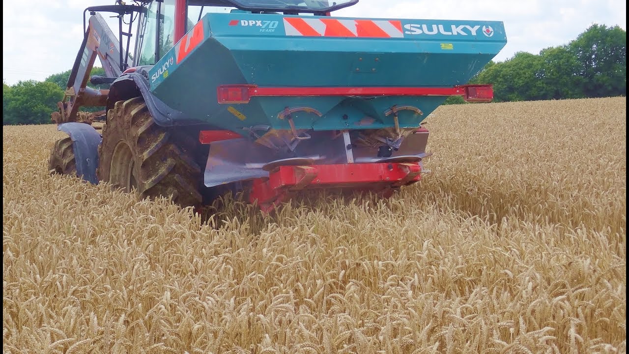 Essai comparatif de techniques de semis de moutarde