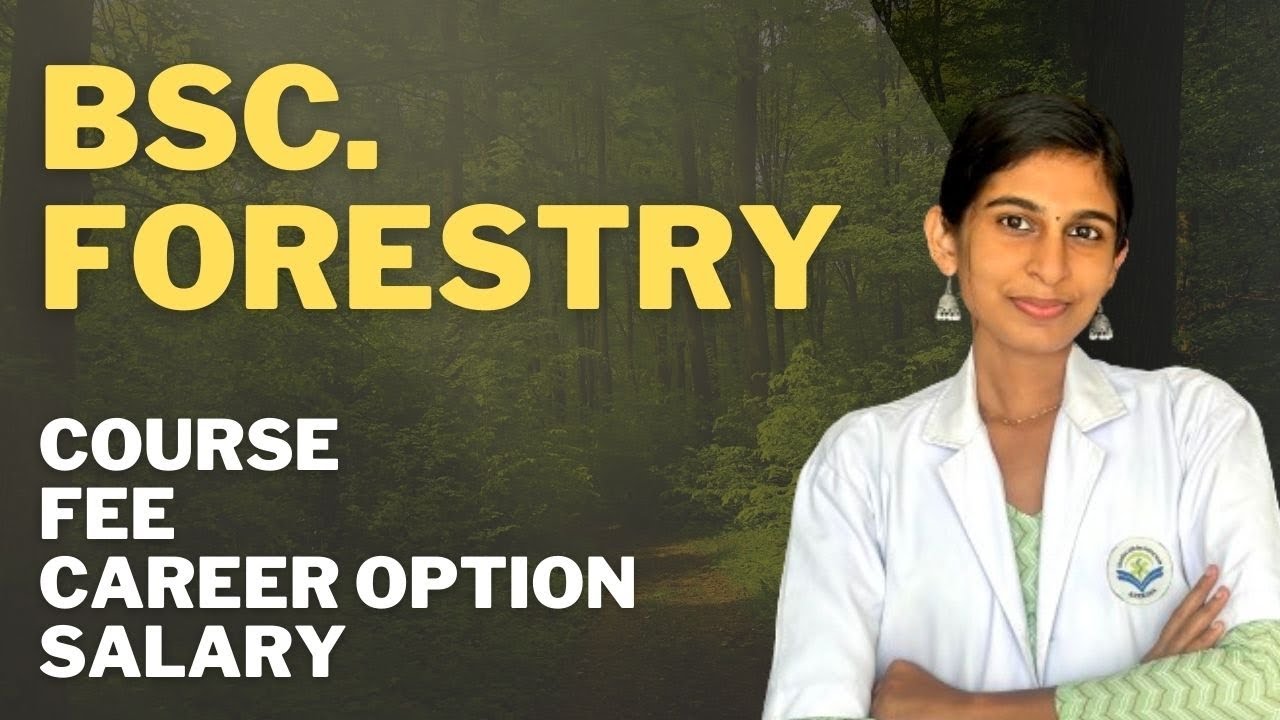 BSC FORESTRY അറിയേണ്ടതെല്ലാം 🌳|course, fee, career option etc|NEET 2024| Malayalam