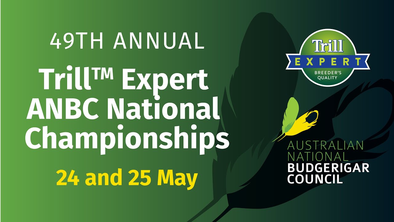 ANBC National Budgerigar Show 2025 - DAY 1 LIVE FEED - Cairns - Queensland