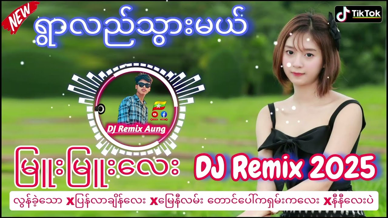 ရွာလည်သွားမယ်(အခုခေတ်စားနေတဲ့ tiktokသီချင်း)| မြန်မာ DJ Remix 2025 |Myanmar DJသီချင်းမြူးမြူးလေးများ