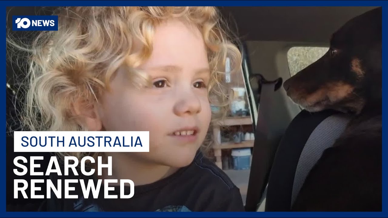 Search For Missing Toddler, Gus Lamont, Resumed With Hopes Rain Uncovered New Evidence | 10 News