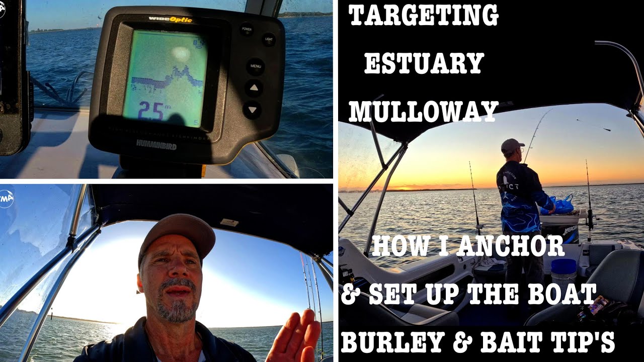 TARGETING ESTUARY MULLOWAY ! HOW I ANCHOR & SET-UP THE BOAT, BURLEY & BAITS TIP'S Ep 81