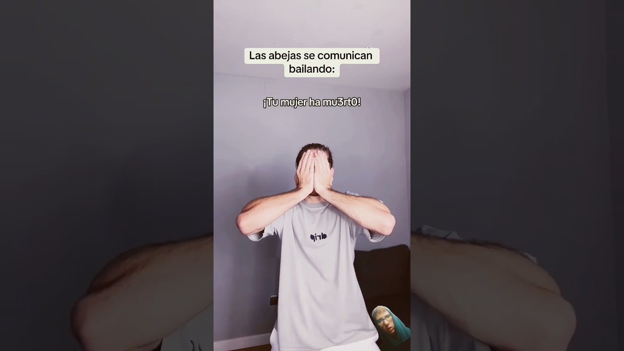 lqs avejas se hablan bailando 😂😂😂🤣🤣