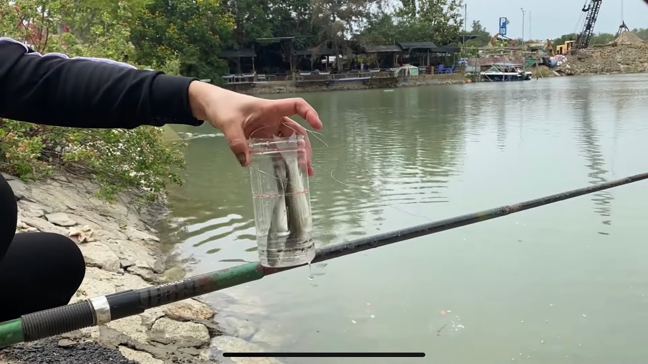 CÂU CÁ ĐỐI MỒI BỘT /Cách Câu Cá Đối Bằng Chai/Như Phạm Cuộc Sống Cần Giờ