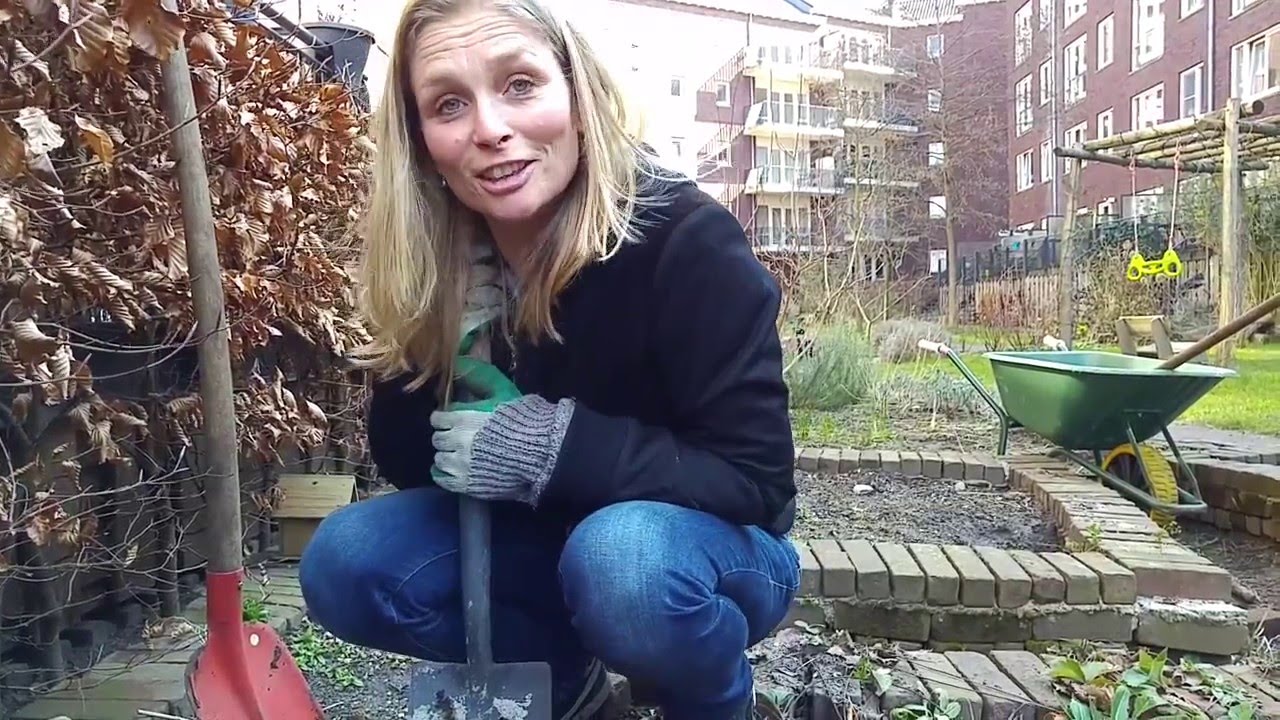 Zelf Rababer Kweken met Meriam Beek, deel 2: in de moestuin