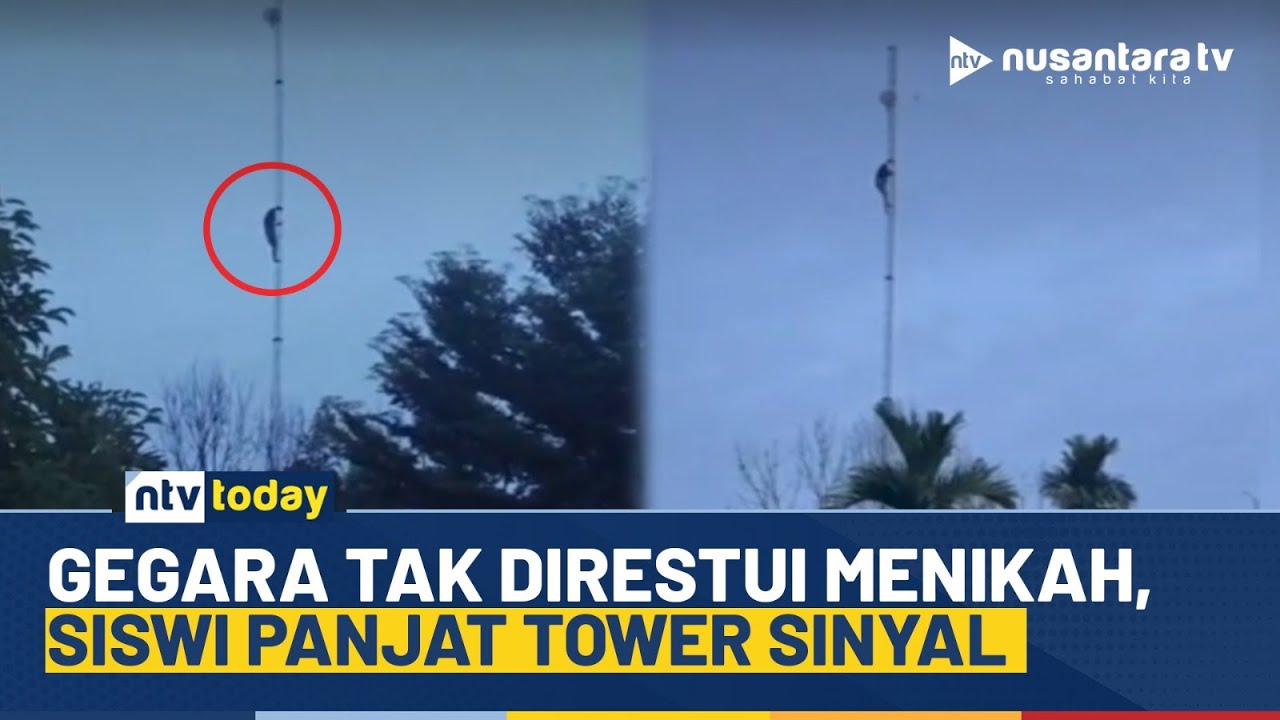 Heboh! Siswi Panjat Tower Sinyal Gegara Tak Direstui Menikah Oleh Ortunya | NTV TODAY