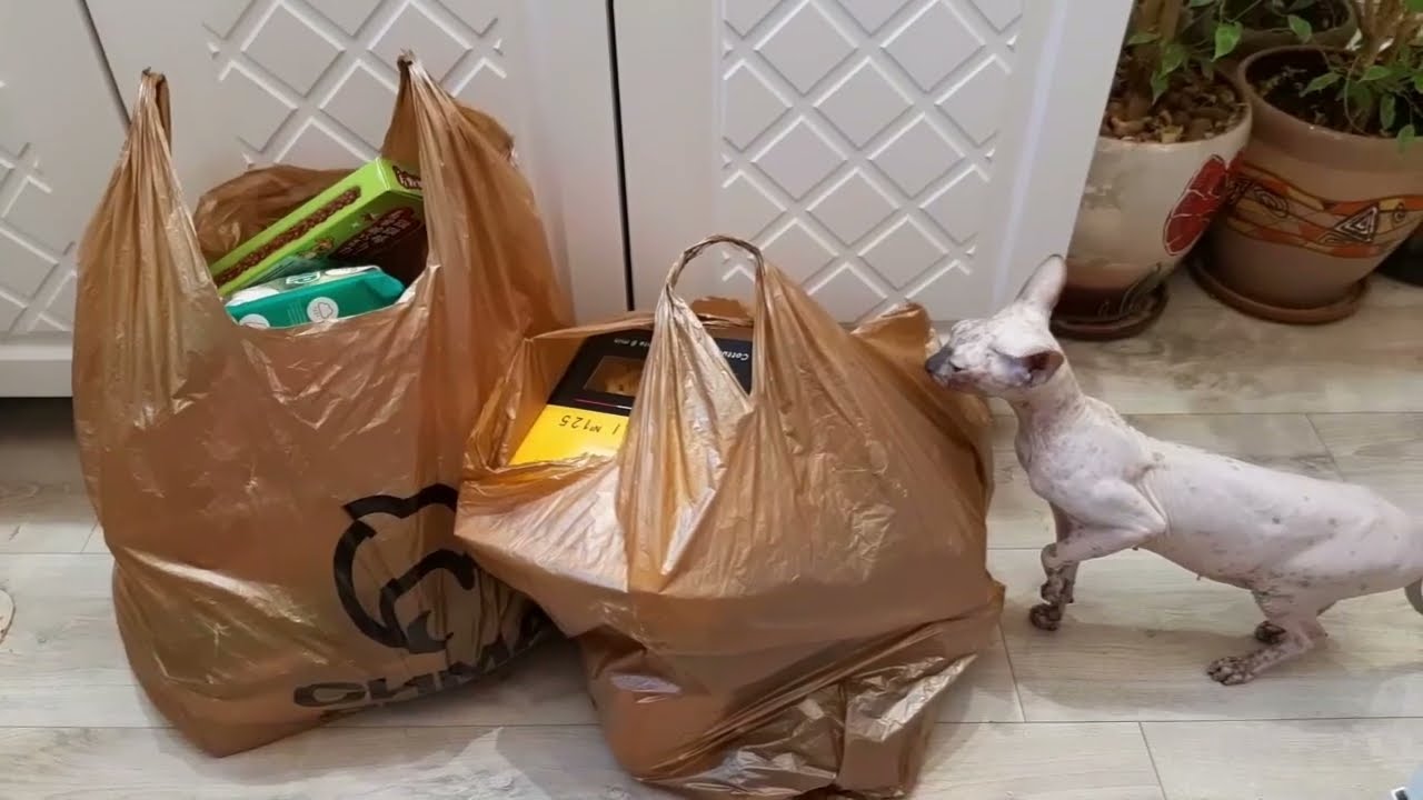 #влог Константин купил виртуальные барабаны.