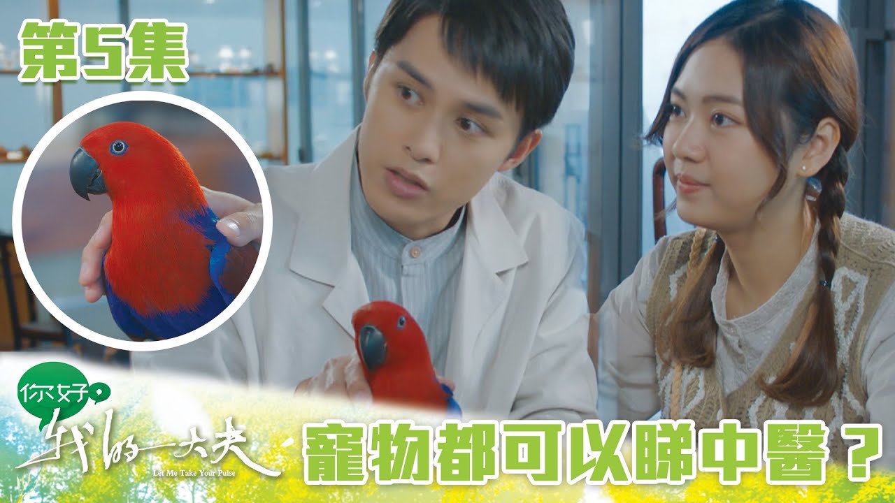 你好，我的大夫｜寵物都可以睇中醫？｜蔡思貝｜何廣沛｜吳偉豪｜游嘉欣｜陳嘉慧｜中醫｜愛情｜TVB港劇精華